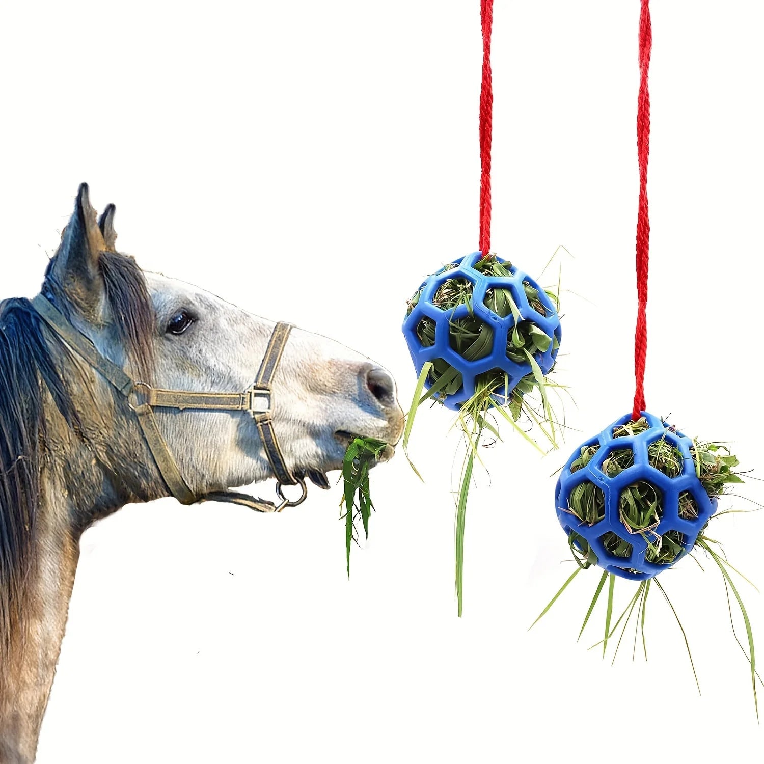Equine Munch-N-Play Sphere
